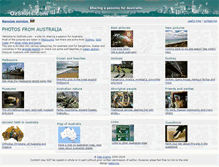 Tablet Screenshot of ozshots.com